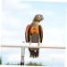 PopetPop Fly Bird Diapers - Reusable Cotton Pants for Pigeons Ducks & Parrots | Pet Bird Costume 20x11cm - Buy Online on GoSupps.com