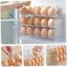 PRETYZOOM Egg Storage Box Egg Holder for Fridge Egg Storage Drawer Egg Preservation Holder Side Door Egg Plate - Buy Online on GoSupps.com