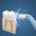 Plaque Seeker Replacement Tips - 4 Pack for Waterpik & Oral Irrigators - Buy Online on GoSupps.com