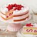 Dr. Oetker Gelatine Fix Gelatin 2X 15g - Premium Quality Gelatin for Perfect Desserts - Buy Online on GoSupps.com