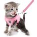 FEimaX Pink Mesh Dog Harness and Leash Set for Small Dogs and Cats | Adjustable, No Pull, Escape Proof, Reflective Vest for Walking - Buy Online on GoSupps.com