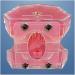 Tooth Lessons Model - Dental Simulation & Standard Practice Demonstration | Resin Dentist Teaching Tool (Pink Rose) - International Shipping Available - Buy Online on GoSupps.com
