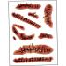 Zombie Scars Tattoos Bloody Scar with Fake Blood Costume Makeup Halloween Decorations Party Favor zombie bride costume women - Buy Online on GoSupps.com