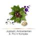 Hair Biology Haarmask Silver & Glowing | Revitalize & Shine | International Shipping - Buy Online on GoSupps.com