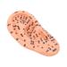 Gleavi 1stk massage ear model laboratory needs Science models Realistic ear models acupuncture products ear massager massage accessories The window dolls teaching materials medical pvc