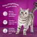 WHISKAS Cat Meals - 48 Fresh Sachets (Pack of 2 Packs 24x85g) - Classic Meals (4 varieties) - Cat Pate - Buy Online on GoSupps.com