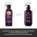 RYO Hair Strength Expert Care Shampoo - Hypoallergenic for Sensitive Scalp Soothes Itchiness Strengthens Thinning Hair 13.53 Fl Oz - International Shipping Available - Buy Online on GoSupps.com