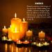 100pcs Candle Wick Kit with Stickers, Holders, Placing Tube & Tags - 8 Inch Candle Making Set - Buy Online on GoSupps.com