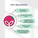 Healthxcel Super Berry Boost Powder 150g | Vegan & Organic | Immunity & Heart Health Support | Stress Reduction | Goji, Acai, Beetroot & More - Buy Online on GoSupps.com