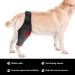Pet Dog Injury Knee Brace Leg Inflammation Pain Alleviate Leg Support Sheaths for Dogs Outdoor Walking Accessories - Buy Online on GoSupps.com