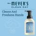 Mrs. MEYER'S CLEANDAY Foaming Hand Soap Rain Water 10 Oz. (Pack of 6) 1.67 Ounce (Pack of 6) - Buy Online on GoSupps.com