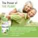 Solaray Celery Seed 505 mg - 100 Vegan Capsules | Natural Health Supplement - Buy Online on GoSupps.com