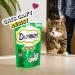 Dreamies Mega Pack Cat Treats Tasty Snacks with Delicious Catnip 6 Pouches of 200 g - Buy Online on GoSupps.com
