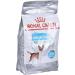 ROYAL CANIN Mini Urinary Care - 1kg - Buy Online on GoSupps.com