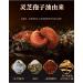 WonderLand Herbs Ganoderma Lucidum/Lingzhi Mushroom/Reishi Spore Extract Oil 110 Softgels - Buy Online on GoSupps.com