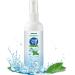 Cool Spray for Summer | Household Instant Cooling Spray - Natural Plant Extracts Cooling Artifact for Camping Outings Hiking Picnic Traveling - Buy Online on GoSupps.com