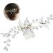 DOITOOL Combs Hair Pin Hair Clip Bridal Headdress Women Hairpin Hair Jewels for Women Wedding Headpiece Bride Insert Comb Bridal Hair Comb Hair Accessories Headgear Pearl Miss - Buy Online on GoSupps.com