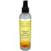 JANE CARTER SOLUTION Natural Hold Spray Gel 8 OZ