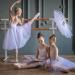 Invisible Hair Net Set - 12 Pack Reusable Elastic Mesh Bun Cover for Women & Girls - Ideal for Ballerinas, Dancers, Bank Clerks, Nurses, Skaters - Style 2 - Buy Online on GoSupps.com