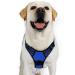 Rabbitgoo dog harness medium -sized dogs anti train dishes dog with control no pull adjustable dog harness large dogs breathable reflex stripes breast harness dog safe guidance blue XL XL (1 Pack) blue
