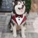 Mioyoow Adjustable Formal Dog Bandana Collar - Tuxedo Wedding Bib for Small to Medium Dogs - Blue Triangular Dog Scarf with Fly D-Ring - Buy Online on GoSupps.com