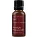 Mystic Moments Oud Fragrance Oil 10ml for Soaps, Candles, Bath Bombs, Oil Burners & Skin Care - Wood Scent - Buy Online on GoSupps.com