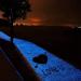Glowing Blue BallHull 1.4cm Fish Tank Gravel Rocks - 300 Pcs for Fish, Turtles, Gardens, Flower Pots - Buy Online on GoSupps.com