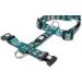 Max & Molly H-Shape Dog Harness - Ultra-Comfortable Neoprene for Very Small Dogs - Strawberry Dream/XS - Padded & Secure Comfort for Your Loyal Companion - Buy Online on GoSupps.com