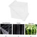 UKCOCO 2pcs Tool Vegetables Garden Shaping Molds Fruit Shaping Mould Pumpkin Ginseng Fruit Cucumber 15x15cmx2pcs Transparentx2pcs - Buy Online on GoSupps.com