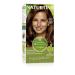 Natureint bio -based coloring without ammonia 6.35 intensive cinnamon brown 100% gray cover vegetable ingredients natural and long -lasting color 6.35.Intense Cinnamon Brown 1 piece (1 Pack)