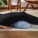 Buy Doyouryoga Ganesh Zafu Crescent Pillow - Organic Spelt & Buckwheat Filled Washable Cover Perfect for Meditation & Yin Yoga (45x30x14 cm) - Buy Online on GoSupps.com