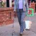 BeGrit Folding Walking Stick for Women - Adjustable & Lightweight Mobility Aid in Purple - Buy Online on GoSupps.com