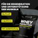 Buy Body & Fit Whey Perfection - Vanilla Protein Powder (896g) | 32 Shakes - Best Quality Whey Protein for Muscle Growth & Recovery - Buy Online on GoSupps.com