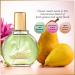 Gloria Vanderbilt Vanderbilt Jardin A New York 3.38 Oz - Buy Online on GoSupps.com