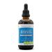 Respiratory Immune Boost Alcohol-Free Extract, Tincture, Glycerite Echinacea, Garlic, Umckaloabo, Cayenne, Astragalus, Eleuthero Siberian Ginseng. Lung Congestion Formula (4 FL OZ) 4 Fl Oz (Pack of 1)