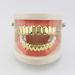 Buy Brigtviee Gold Hip-Hop Teeth Grillz - Polished Removable Jewelry for Chains | Best International Shipping - Buy Online on GoSupps.com