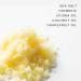 PURE SOL. Turmeric Body Scrub Glowing Exfoliating for Soft Healthy Skin Exfoliated Dry DeHydrated Dead Skin Improves Skin Texture (1 Pack) 10 Ounce (Pack of 1) - Buy Online on GoSupps.com