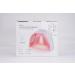 LED Face Light Therapy Mask: Spray LED Face Mask - Removable Design LED Mask Light Therapy With Near Infrared Light - 7 Colors - Buy Online on GoSupps.com