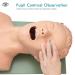 AYGJKIE Oral Nasal Intubation Trainer Manikin - Advanced Airway Management Simulator for Tracheal Intubation Training - Buy Online on GoSupps.com