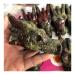Sdwgld healing aura crystal.1 piece 8-10 cm large dragon blood stone and mineral gemstone original carved dragon skull Aura Home Decoration