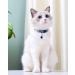 Tagme Cat Neck Band - 2 Pack Customizable Cat Necklace with Safety Clasp & Bell | Adjustable 18-31 cm Navy Blue - Buy Online on GoSupps.com