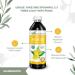 Mullein Leaf Tincture Extract Liquid 12 oz - Lung & Respiratory Support - Organic Vegan Supplement for Immune Health - Herbal Goodness | Made in USA - Buy Online on GoSupps.com