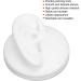 Silicone Simulation Artificial Ear Model - Multifunctional Display Tool for Hearing Aids & Ear Canal Products (Right Ear) - Buy Online on GoSupps.com