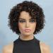 UDU Ombre Short Curly Human Hair Wigs For Black Women Short Curly Wigs Human Hair Highlighted Piano Color Side Part Wigs For Older Women (P1B/30) P 1B/30