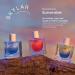 Skylar Urban Rose Eau de Parfum - Hypoallergenic & Clean Perfume for Women & Men Vegan & Safe for Sensitive Skin - Spicy Floral Perfume with Notes of Pink Pepper Amber & Rosewood - 50mL /1.7 Fl oz - Buy Online on GoSupps.com