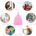 Fainfun Menstrual Cup Set - 2 Soft Silicone Period Cups (Size Small & Large) - Eco-Friendly Pink Menstruation Cups for Comfort & Protection - Shop Now! - Buy Online on GoSupps.com