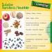 Probiotic Apple Cinnamon Added Sugar Free Vegan Gluten Free Nuts Bar (15 Pieces in Box) - Buy Online on GoSupps.com