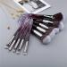 Makeup brushes Crystal Makeup Brushes Powder Foundation Eyeshadow Eyebrow Cosmetics for Face Fan Make Up Brush Se Makeup brush set (Size : 2big8small whbr) - Buy Online on GoSupps.com