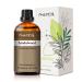 PHATOIL Sandalwood Essential Oil 30ML Premium Grade Pure Essential Oils for Diffusers for Home Perfect for Aromatherapy Diffuser Humidifier Candle Making Sandalwood 30 ml (Pack of 1)