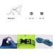 Buy Cat Harness & Leash Set | Cat Dishes for Small Cats | Outdoor Walking Accessories - Buy Online on GoSupps.com